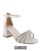 Silver Shimmer